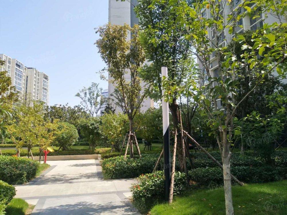 建业凯旋广场小区图片