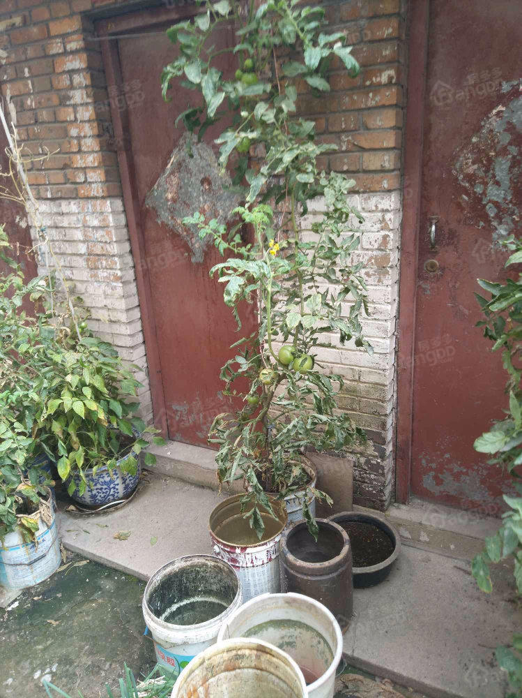 电影公司宿舍小区图片