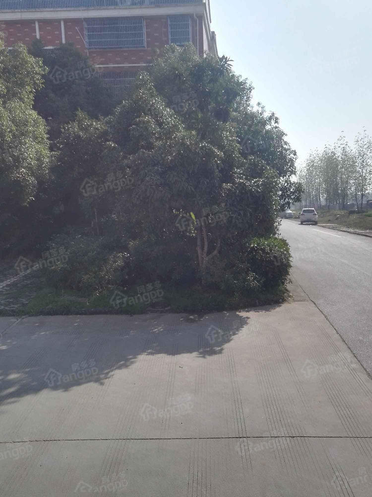 凌云六区小区图片