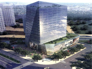 金安硅谷国际