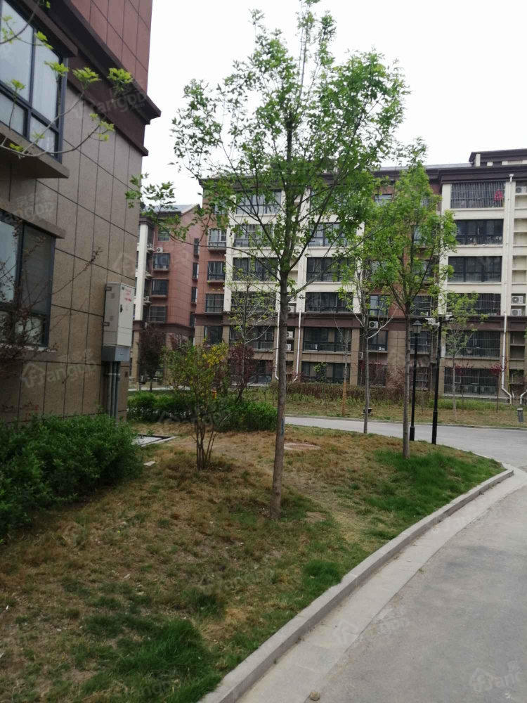 信合花苑图片