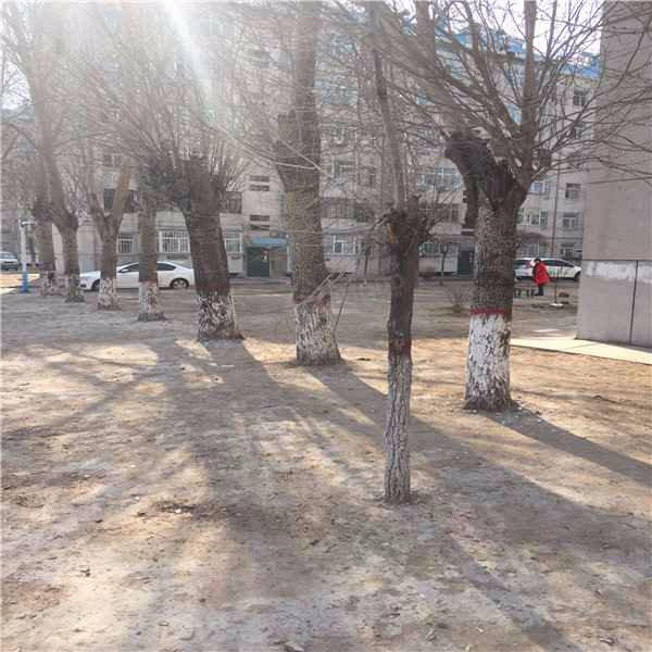 长青二区小区图片
