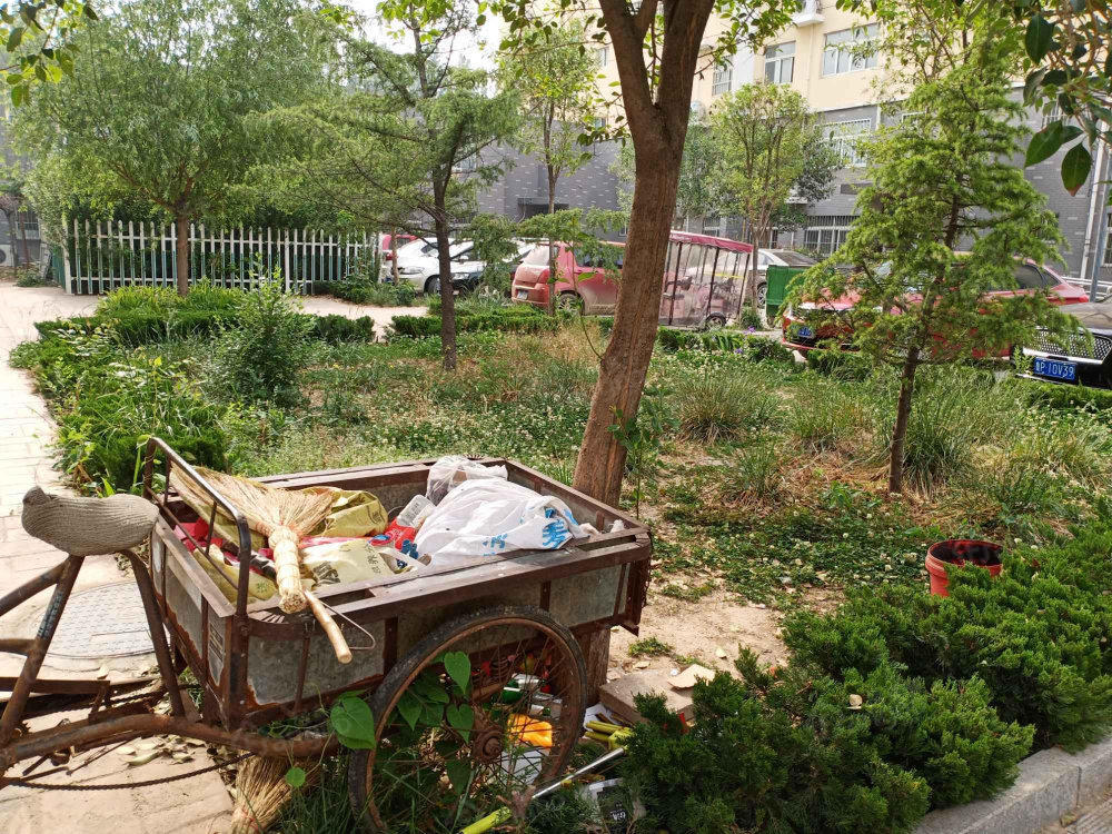 安居欣苑小区图片