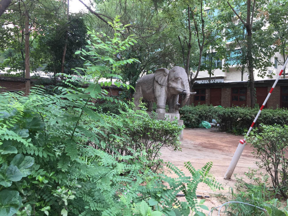 东风小区小区图片