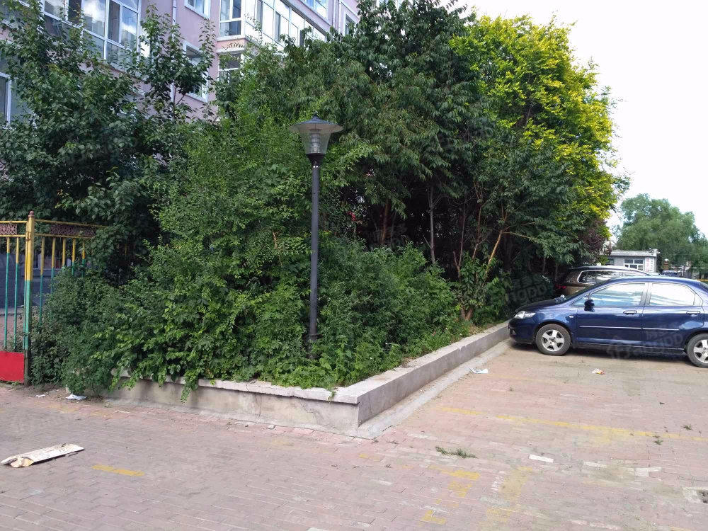 新育红小区小区图片