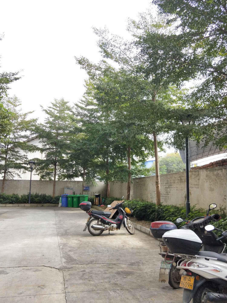 恒达东郡小区图片