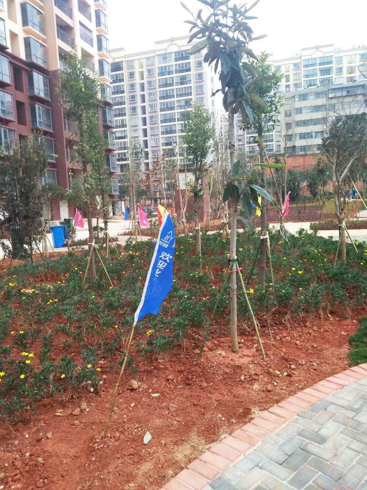 汇和紫薇园小区图片