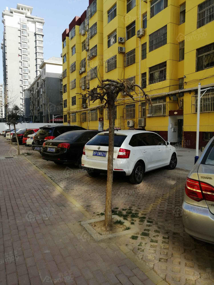 教师新村(东昌府区)小区图片