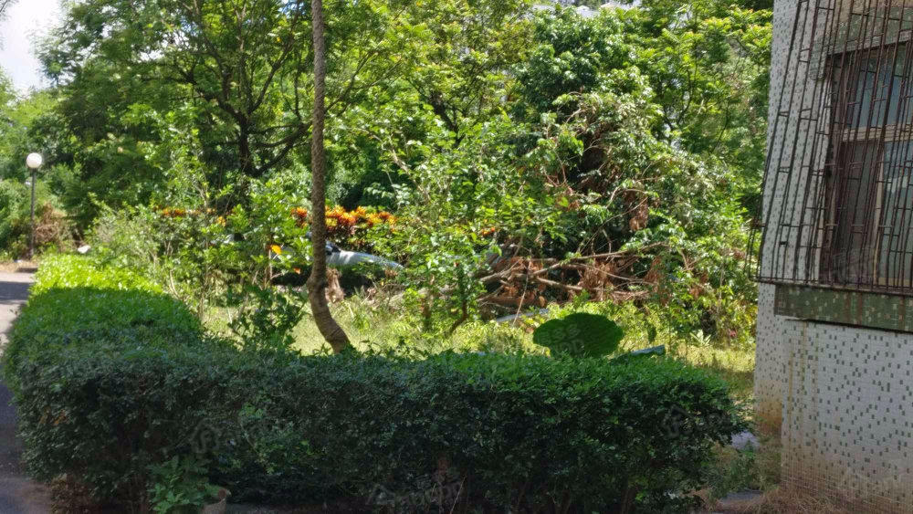 供水宿舍小区图片