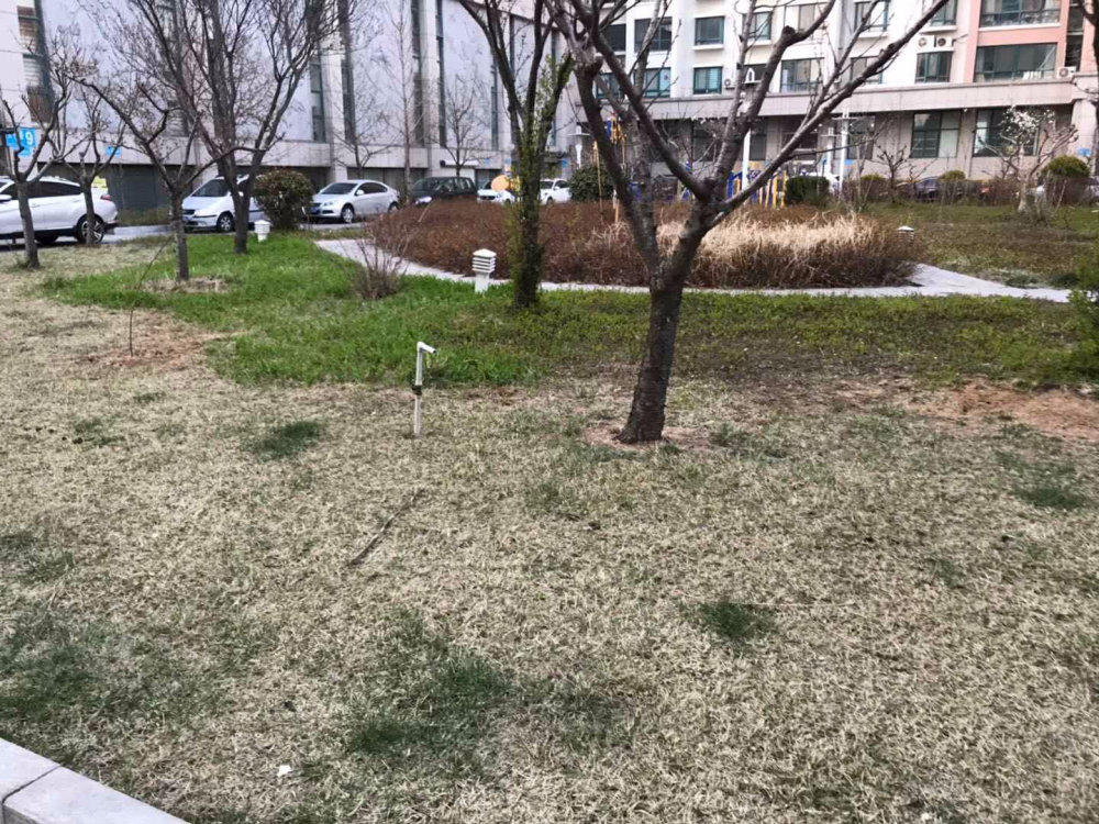银河花园小区图片