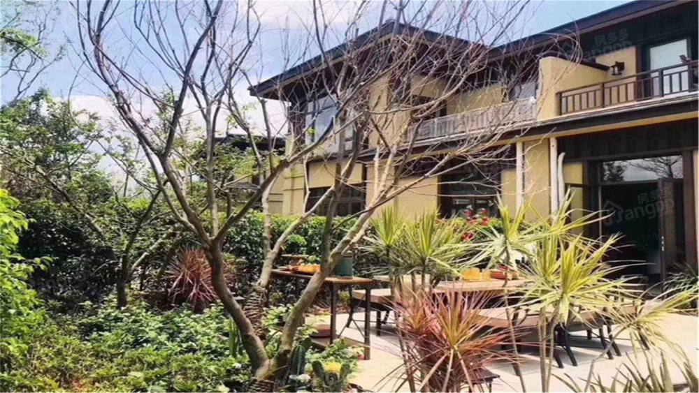 绿地拾野川（别墅）小区图片