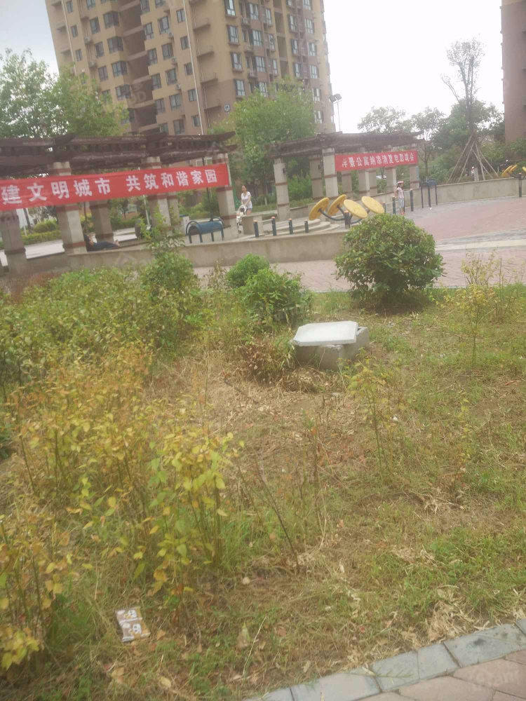 沣景公寓小区图片