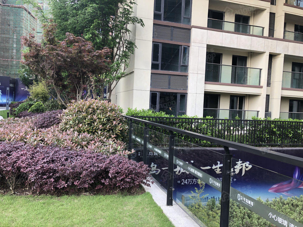 中洲半岛城邦小区图片