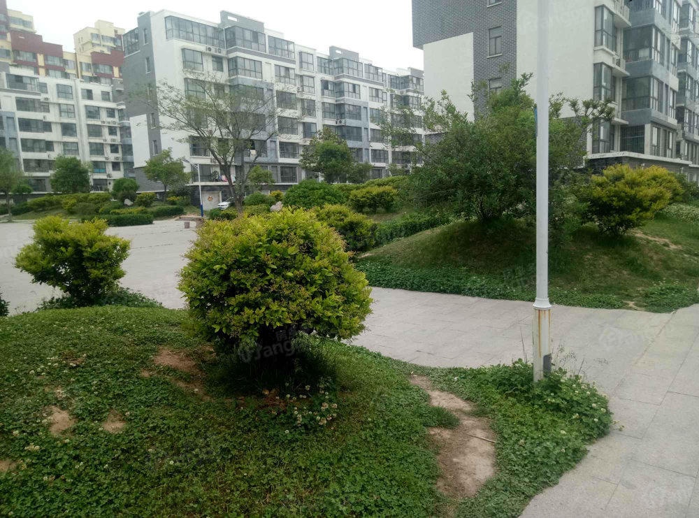 大成龙泽国际小区图片