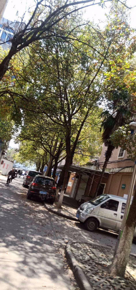 东兴南区小区图片
