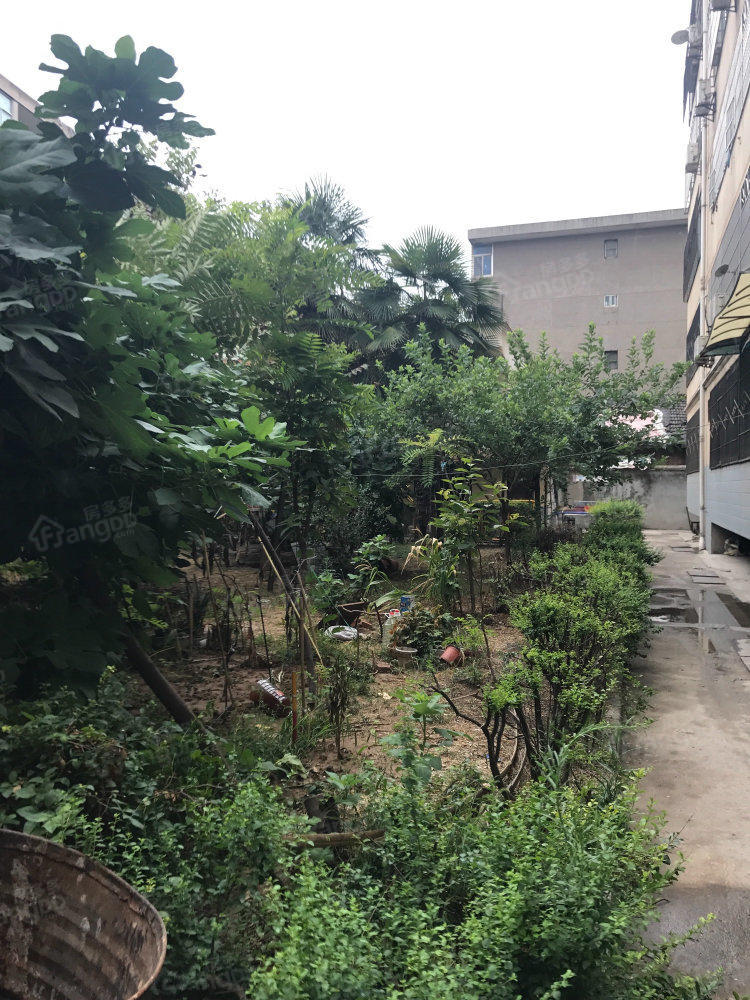 华瑞馨苑图片