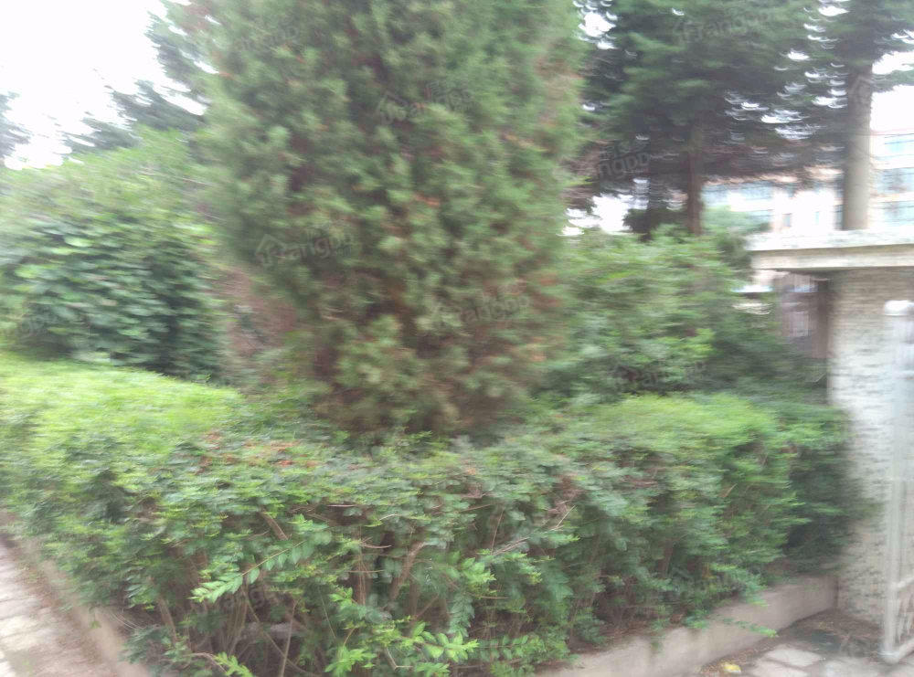 农机公司住宅楼小区图片
