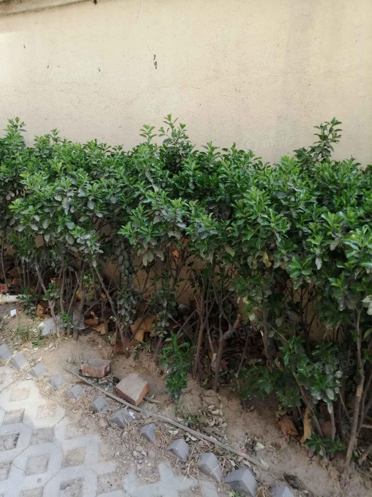 浩悦澜壹号小区图片