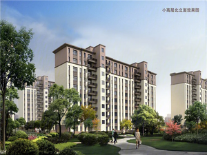 中央丽景