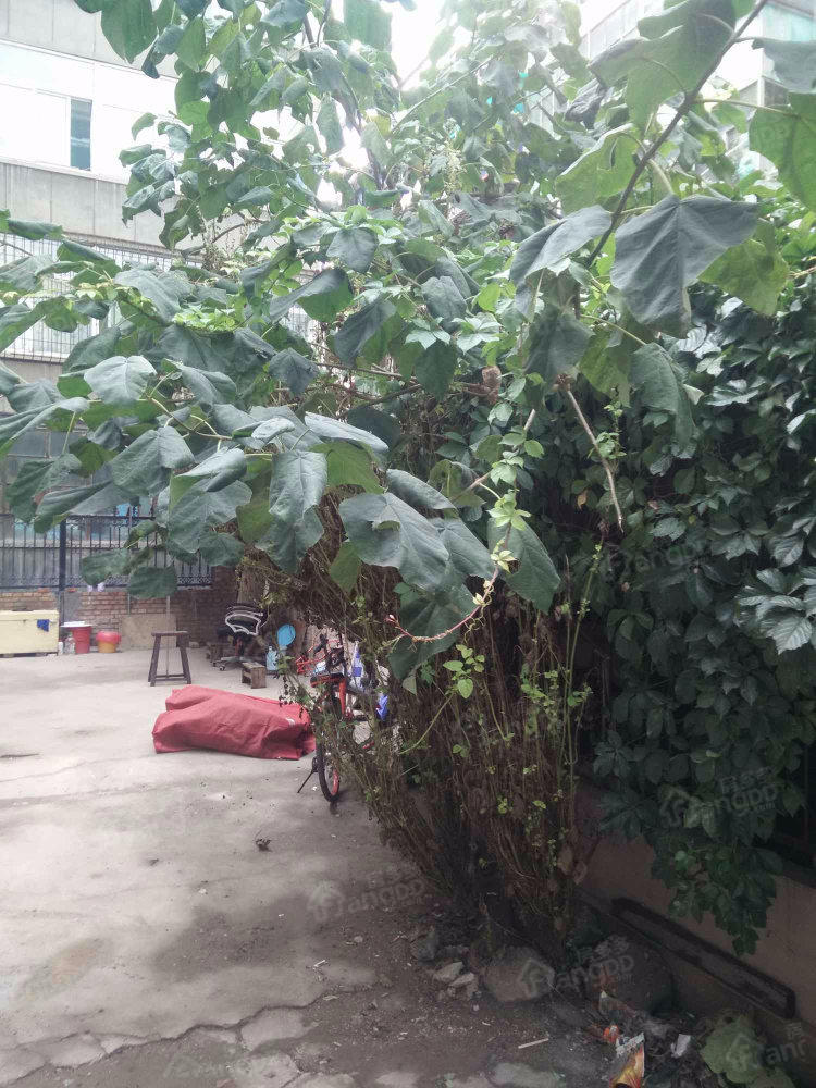 商业银行宿舍(杏花岭区)小区图片
