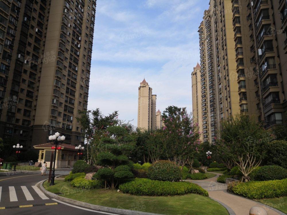 恒大名都小区图片