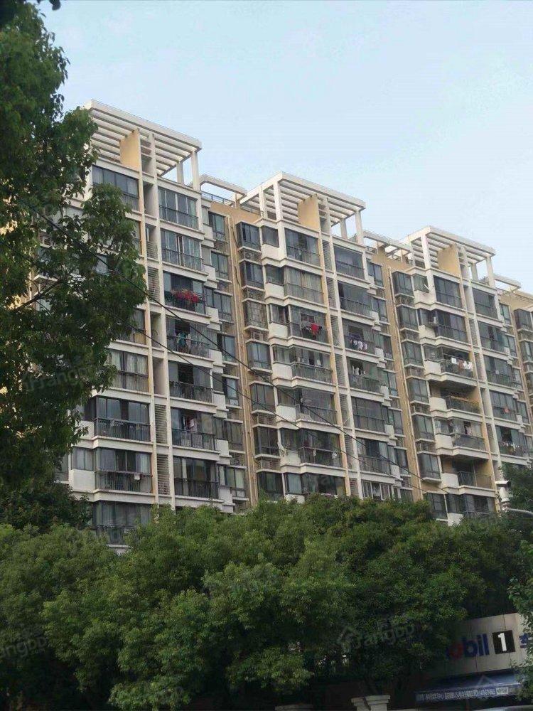 水韵金城图片