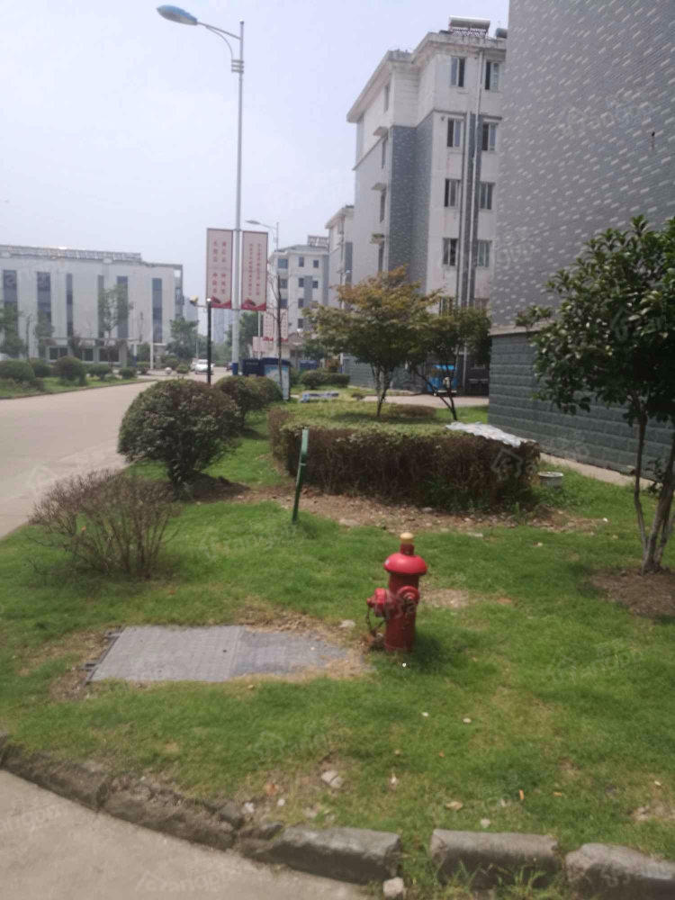 港隆苑小区图片