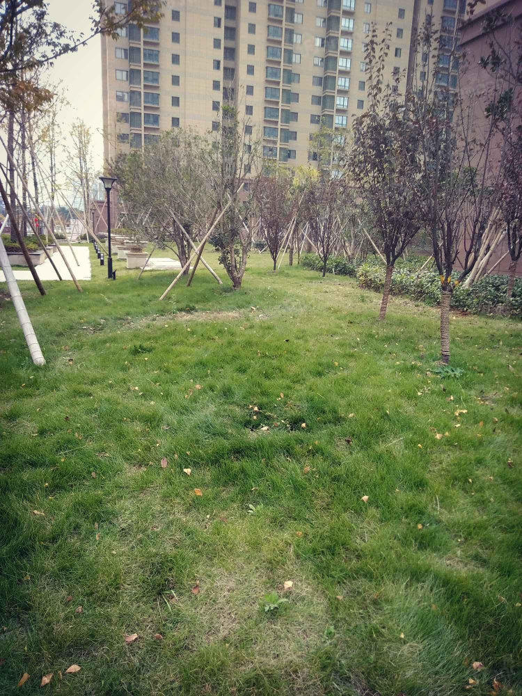 涨馨苑小区图片