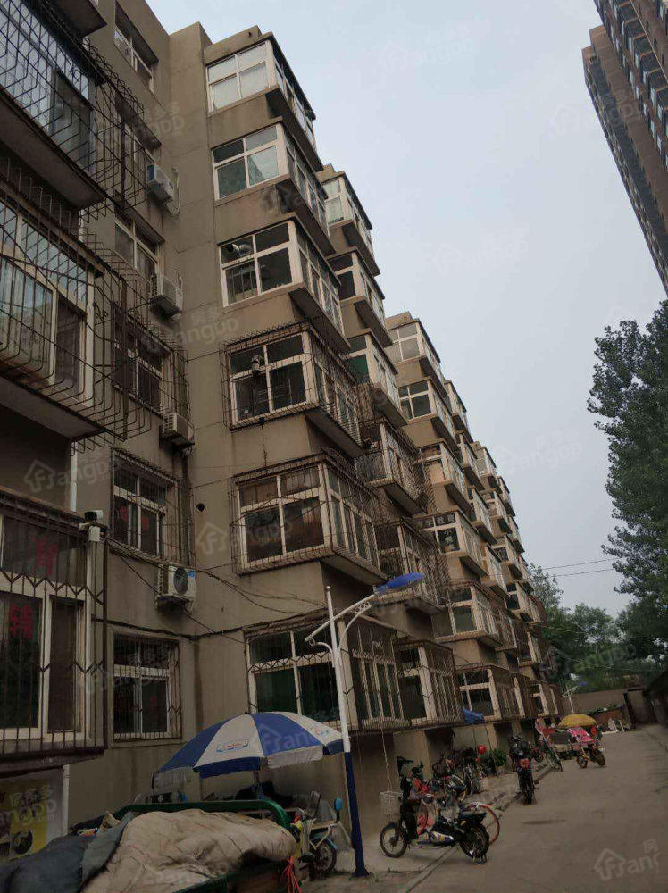 49中宿舍小区图片