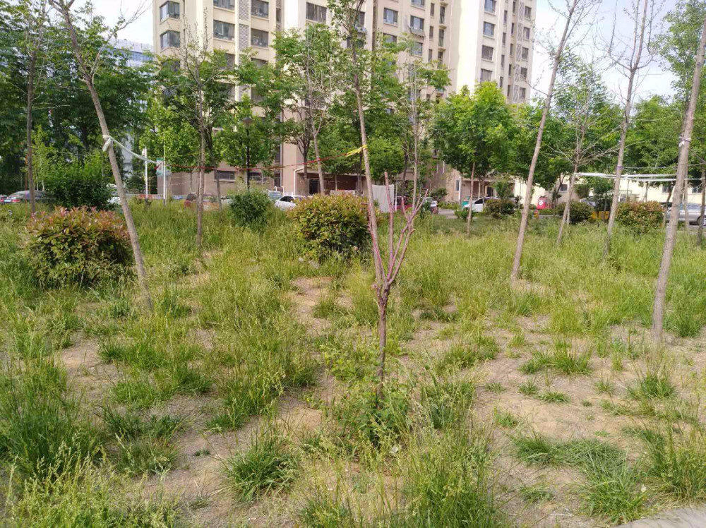 蓝色港湾小区小区图片