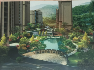龙山国际