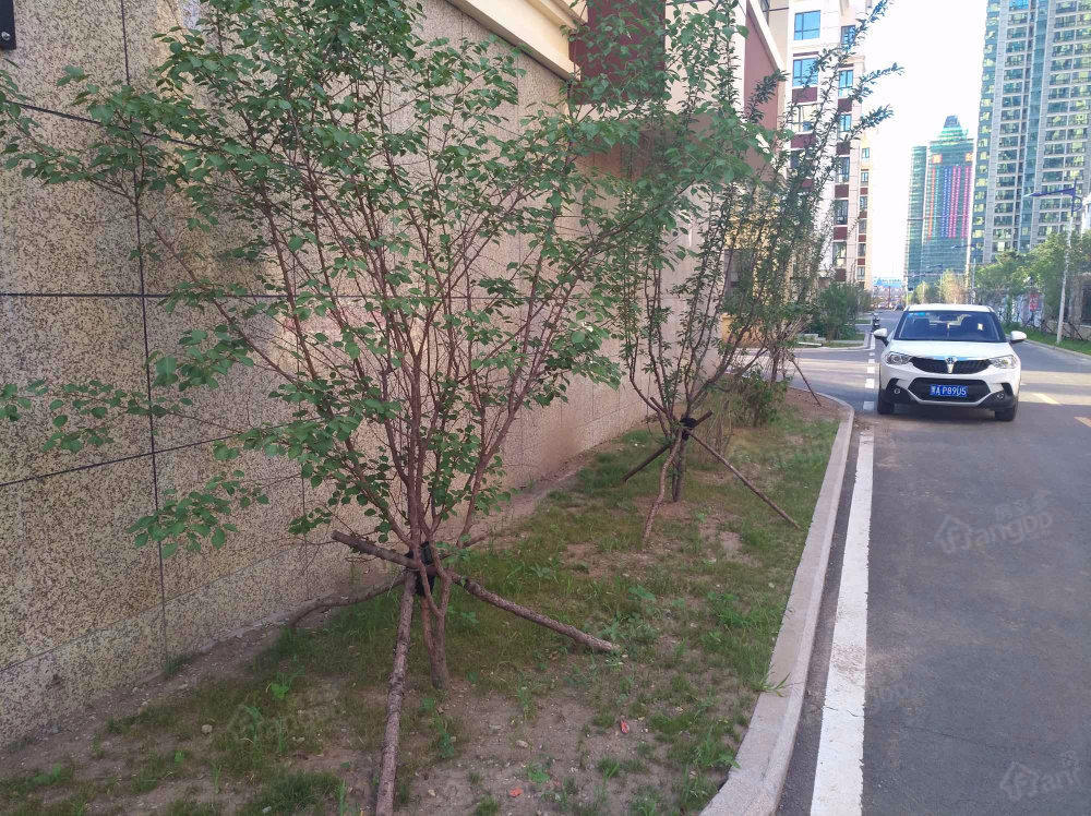 福慧家园小区图片