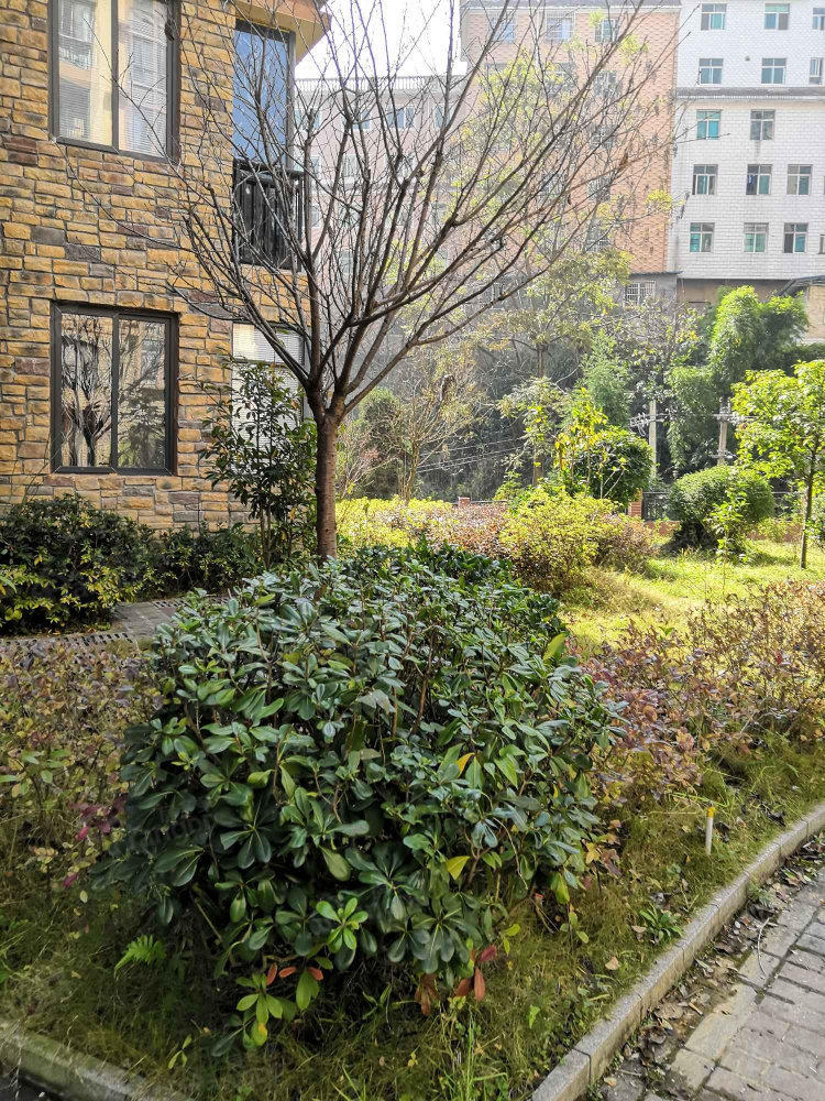 顺海花园小区图片