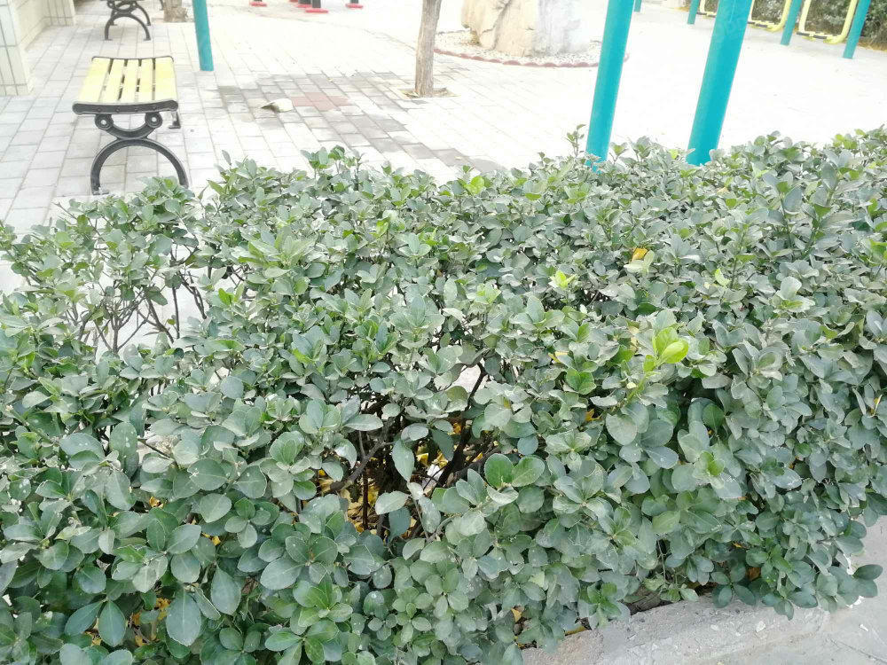 十三所职工住宅小区图片