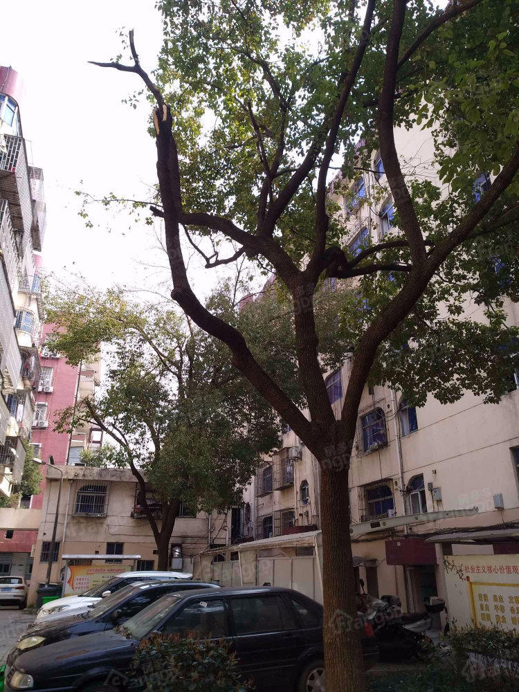 芙蓉里小区图片