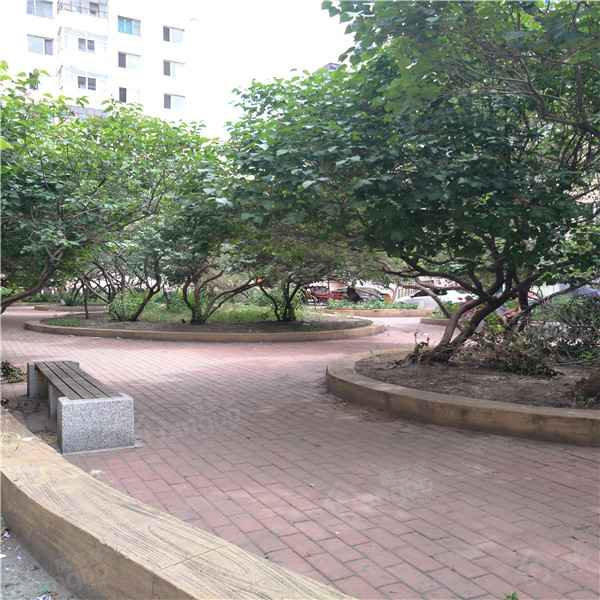 新发小区(北区)小区图片