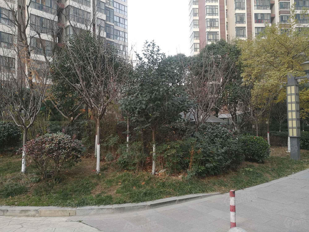 先河国际社区东区图片
