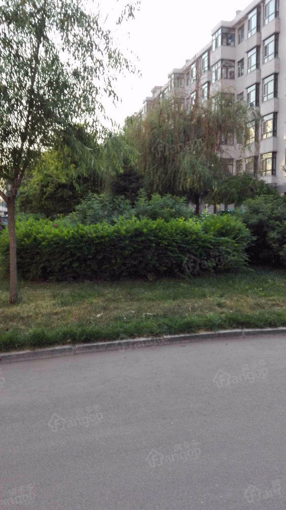 恒盛新天地(双城区)小区图片