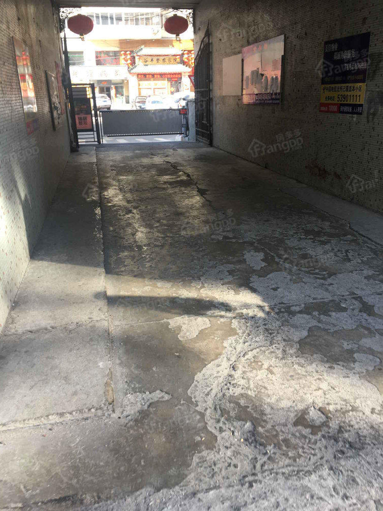 八一新村小区图片