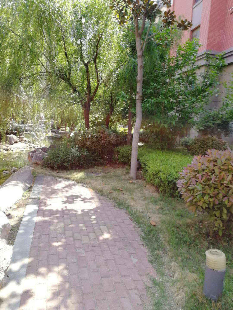 滨河阳光小区图片