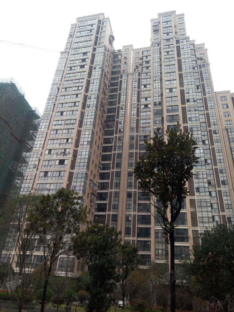 常青藤未来城小区图片