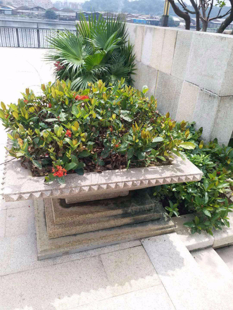 万科金域缇香小区图片