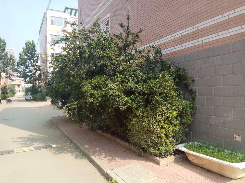绿洲小区小区图片