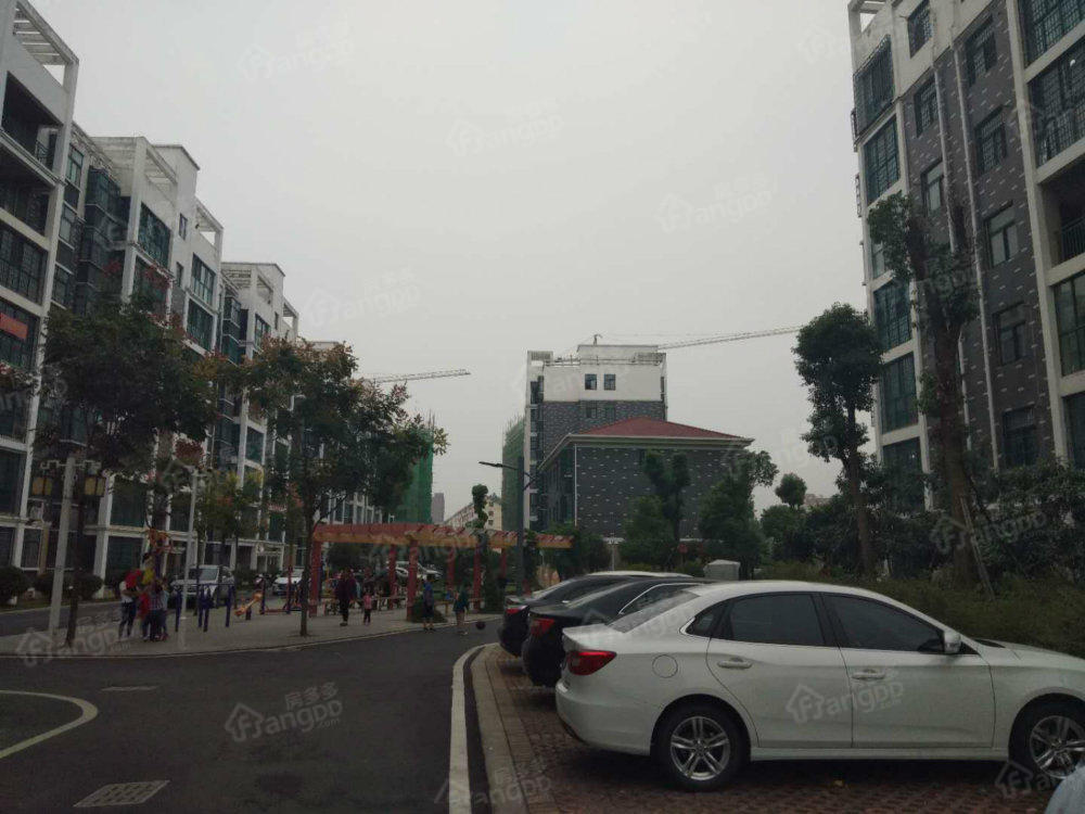 滨湖小区小区图片