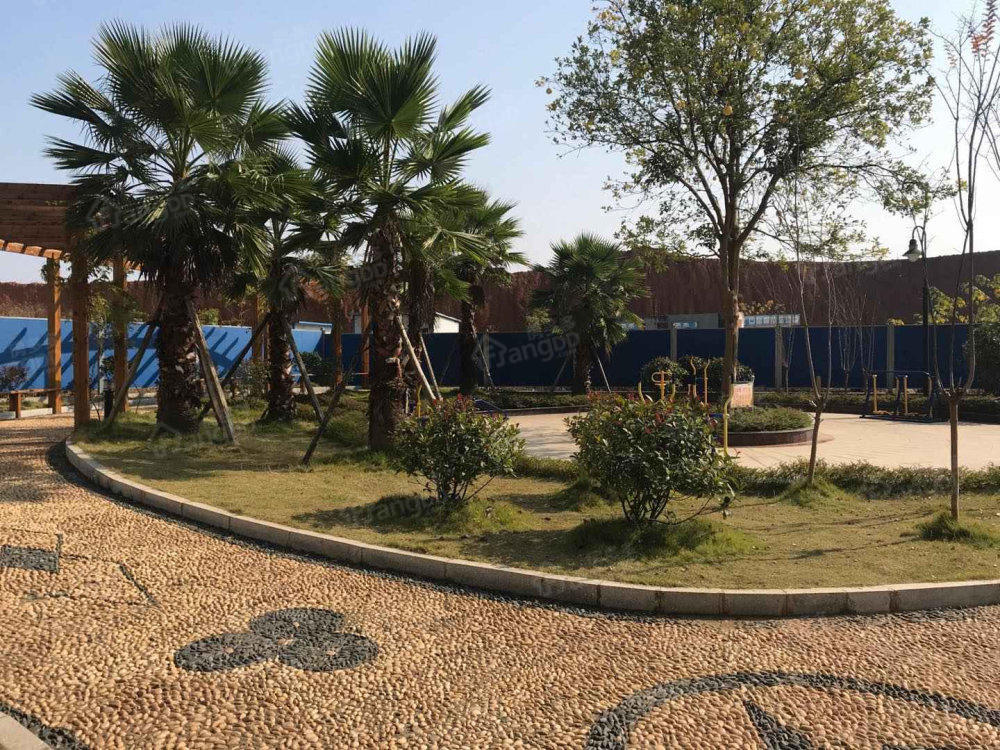 鼎龙世嘉小区图片