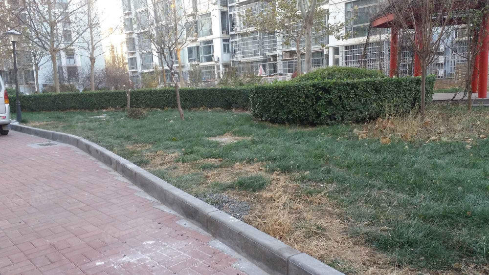 新世纪花园小区图片