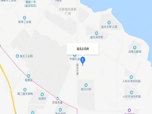 盘龙正荣府