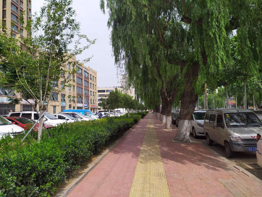 纽约上城小区图片