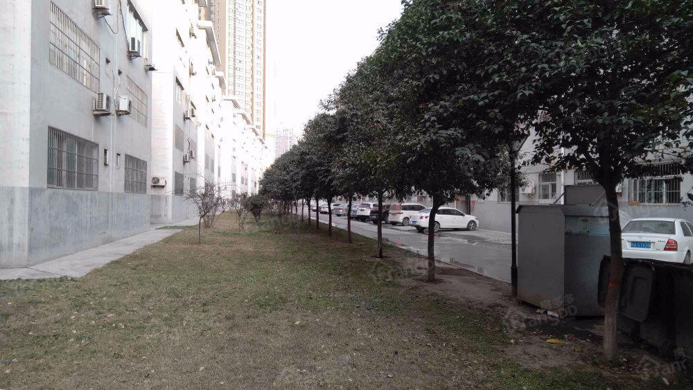 金山佳苑图片