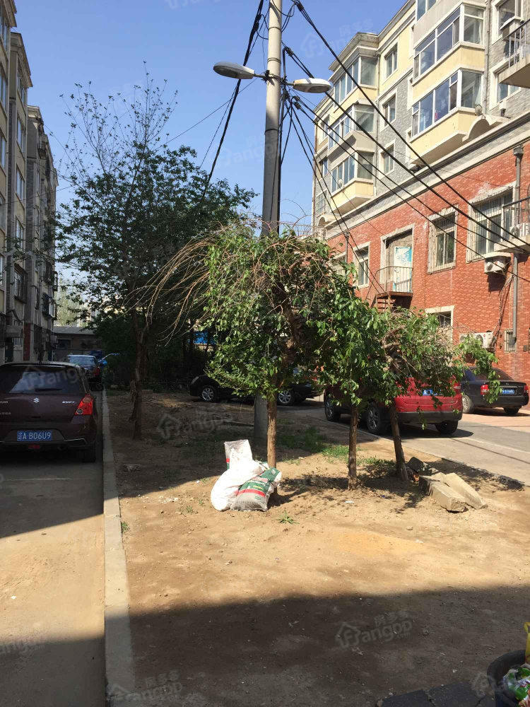 家宁新苑小区图片